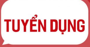 Tuyển dụng, thông tin học bổng