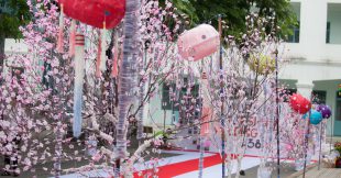 Album liveshow wedding – môn học sáng tác mẫu