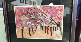 Thi vẽ “Tranh ứng dụng nguyên vật liệu may”